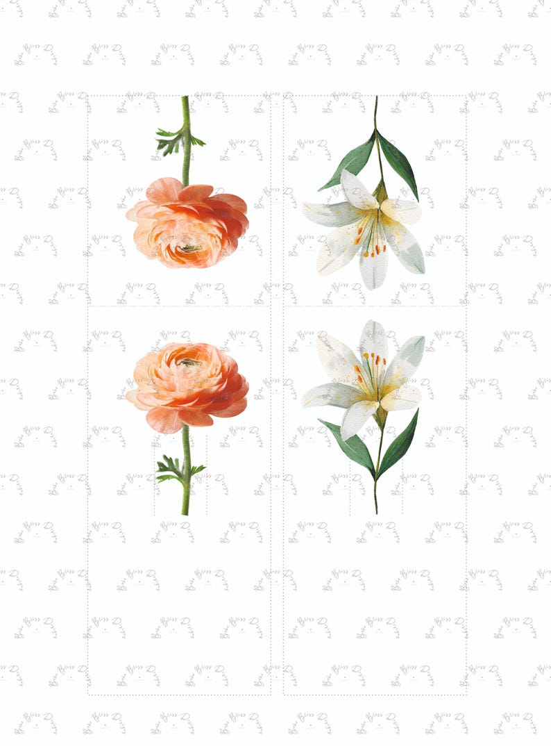 May include: A watercolour illustration featuring four flowers on a white backdrop. Two orange ranunculus blooms and two white lilies with green leaves are shown. The flowers are arranged in a grid, showcasing botanical art.