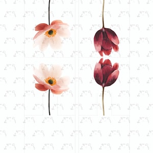 May include: Watercolour floral art showing four flowers. Two are light pink anemones with yellow centres, and two are deep burgundy tulips. The flowers are on long stems against a white background with a subtle pattern.