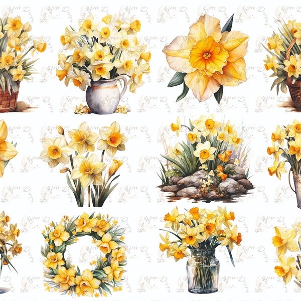 Watercolor daffodils clipart, daffodils, flowers, floral clipart, spring flowers clipart, spring flowers illustration, spring flowers png