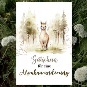 Gutschein Alpakawanderung, Gutschein Familienausflug, Alpaka Ausflug, Gutschein Lama, Alpaka Wanderung Gutschein, Gutscheinkarte Alpaka