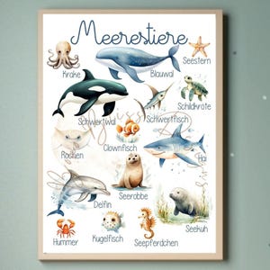 Meerestiere Poster, Tiere des Meeres, Kinderzimmer Poster Meerestiere, Kinderbild Meerestiere, Kinderbild Meer, Wanddekoration Meer