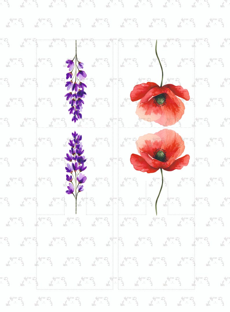May include: Watercolour illustrations of flowers on a white background. The image features two purple wisteria branches and two red poppy flowers. The flowers are detailed and vibrant, with green stems and leaves.