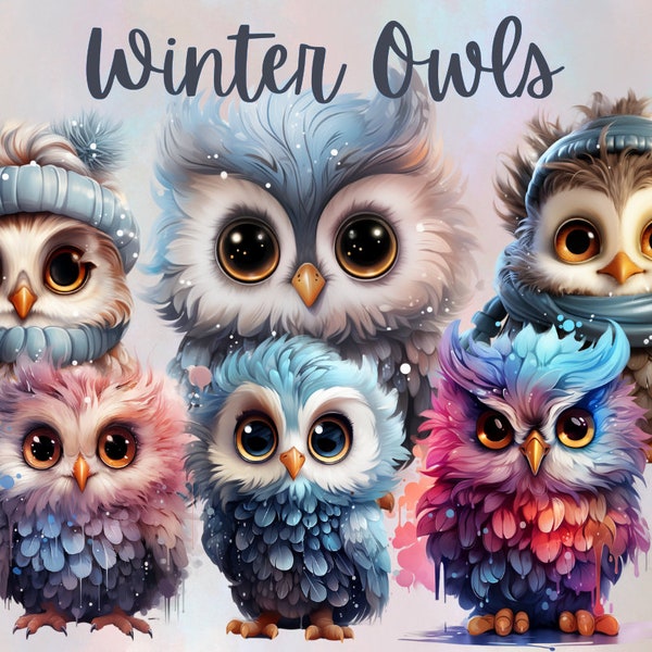 Watercolor Snowy Owl Png Clipart for Sublimation,Winter Owls,Christmas Animals,Christmas Birds,Digital Download