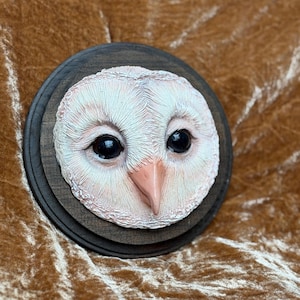 Owl “Taxidermy” Wall Art Object, Hedwig, Faux Taxidermy, Handmade Sculpture Wall Art