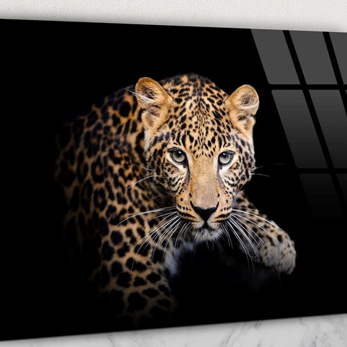 Leopard Resting on a Log Glass Wall Art Leopard and Black Etsy