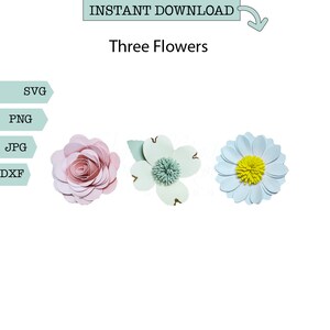 Drie bloemen SVG, bloemen, Cricut, silhouet, Brother Scan n Cut