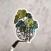 see more listings in the floral + plants section