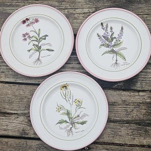 Made in Italy Dinnerware La Primula - Etsy