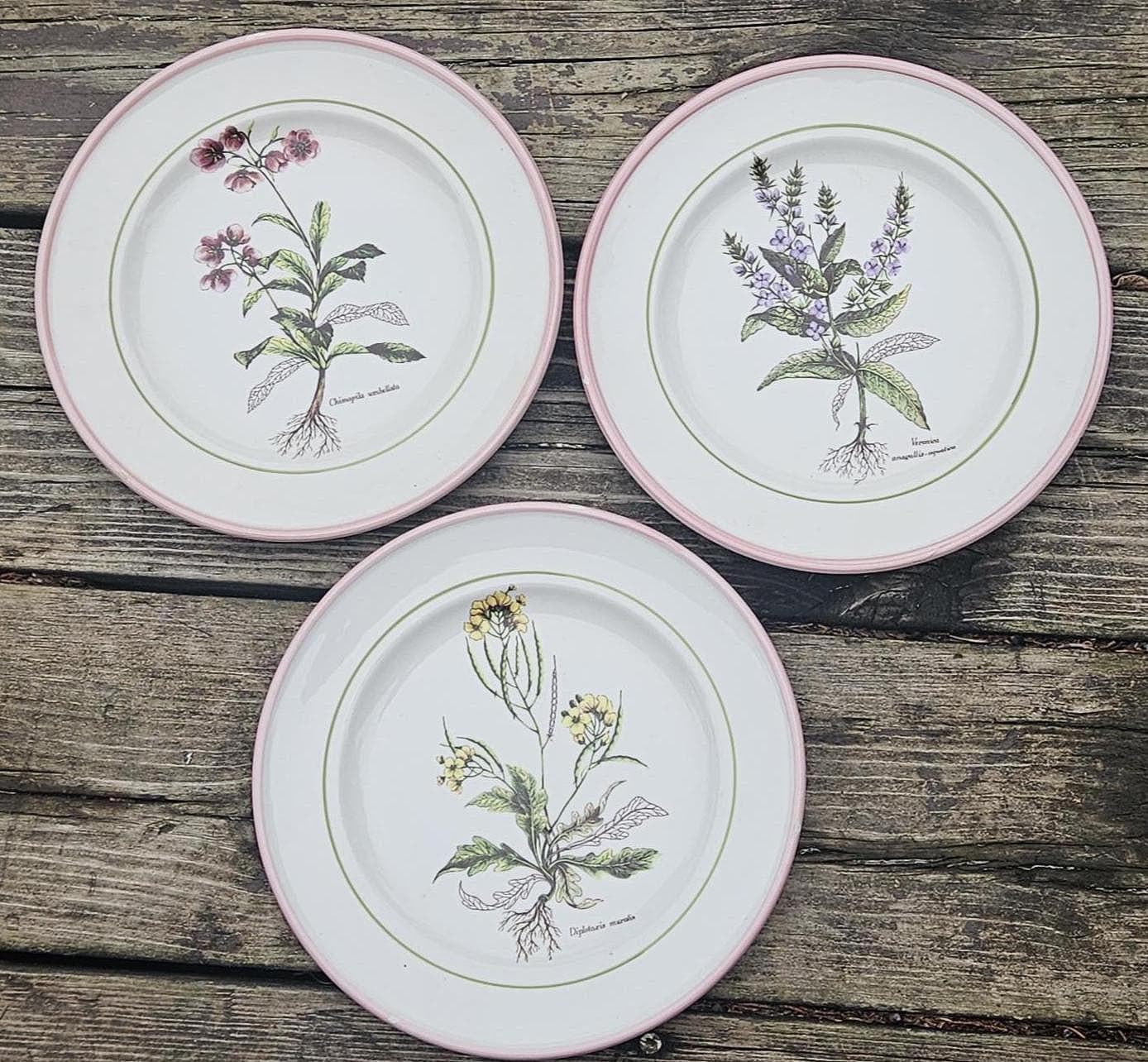 La Primula Italy - Etsy