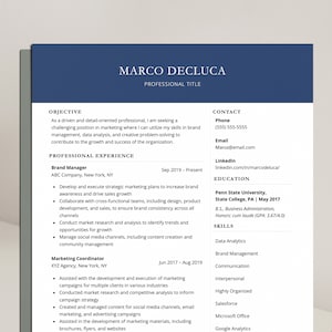 Resume Template for Word, Google Docs | Resume Template Modern | Resume Template Blue | ATS Resume 2023 | Executive, Professional Resume