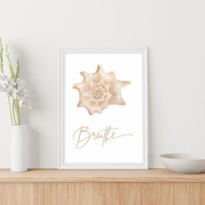 Printable Sea Shell Bathroom Wall Art Decor | Calming Zen Wall Art Decor