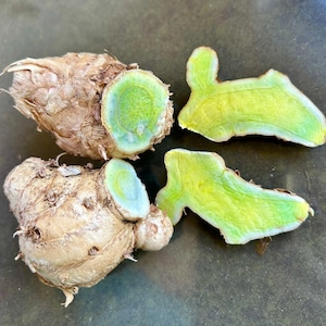 May include: Close-up of fresh turmeric root, with a light brown exterior and a vibrant green interior. Two slices of the root are also visible, showcasing the bright yellow-green flesh. The image highlights the natural colors and textures of the spice.