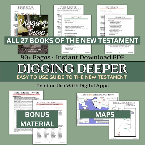 Bible Study Guide New Testament Overview Book Study Companion Scripture Outline Resource Digital Tool NT Workbook Printable Women Christian