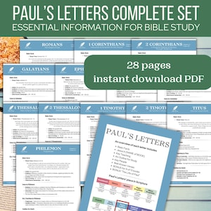 Paul's Letters Epistles Bible Study Guide New Testament Overview Beginner Christian Resource Men Gift Learning Tool Scripture Reference