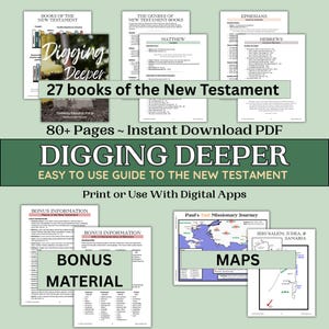 Bibelstudienführer Neues Testament Übersicht Bibelbuch Umriss Studienbuch Neues Testament Karten Bibel-Toolkit Neues Testament Evangelien Studienbriefe