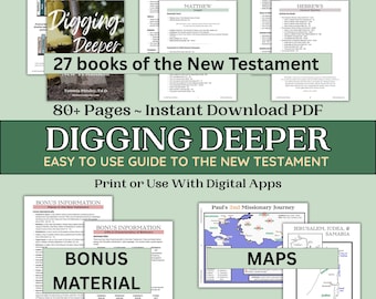 Paperback Bible Study Guide New Testament Overview Bible Book Outline Study Book New Testament Maps Bible Toolkit New Testament Gospels