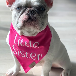 Dog Bandana, Over the Collar Dog Bandana, Cute Pregnancy Announcement Idea with Dogs, Big Brother, Little Sister, Dog Accessories