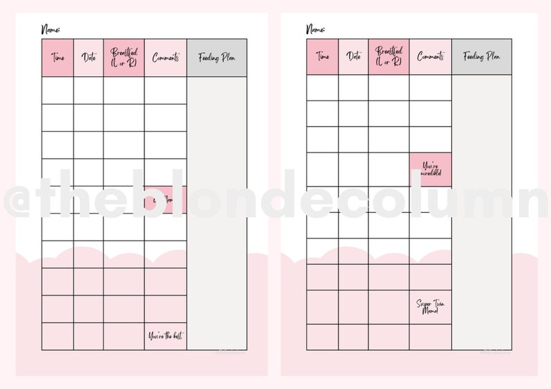 PRINTABLE Twin Breastfeeding Log Instant Printable Feeding - Etsy