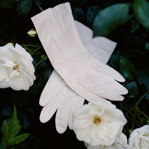 May include: A pair of off-white gloves, possibly leather, are crossed against a backdrop of dark green leaves and white roses. The gloves are smooth and elegant, with a classic design. The image evokes a sense of vintage style and sophistication.