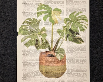 Monstera Thai Constellation Dictionary Print