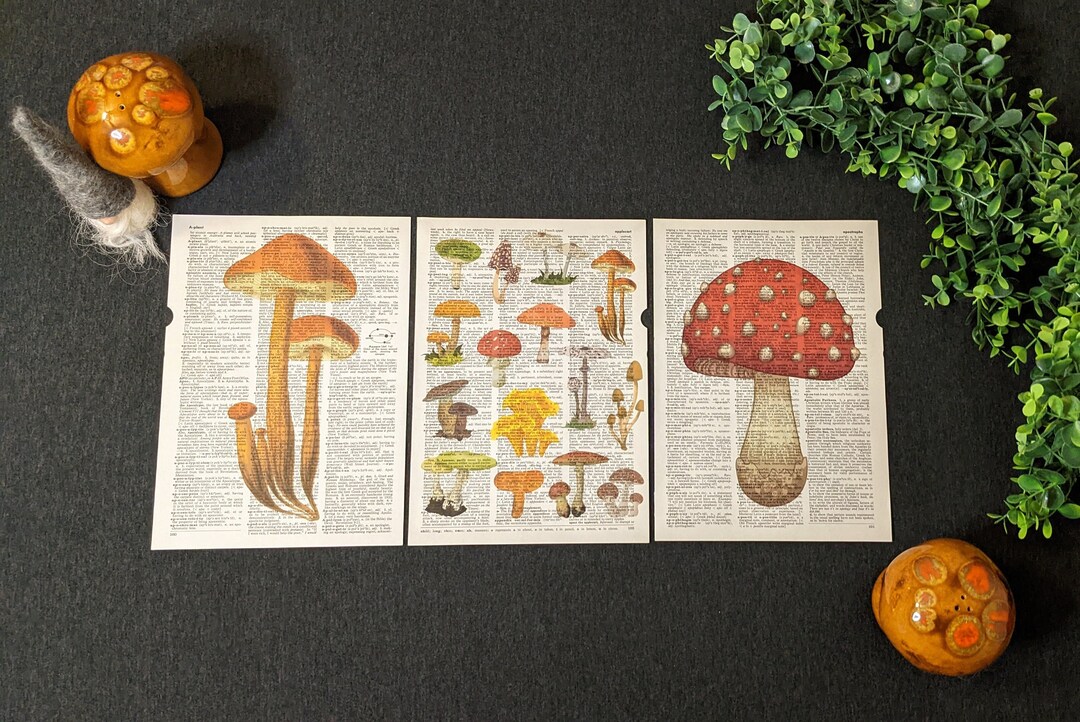 Mushroom Dictionary Print Set Etsy