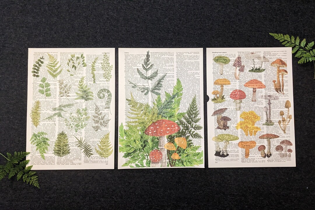 Mushroom and Fern Dictionary Print Set Etsy