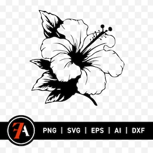 Hibiscus Hawaii Flower Illustration Exotic Clipart Vector Tropical Island Floral Design Instant Digital Download Png Svg Eps Ai Dxf