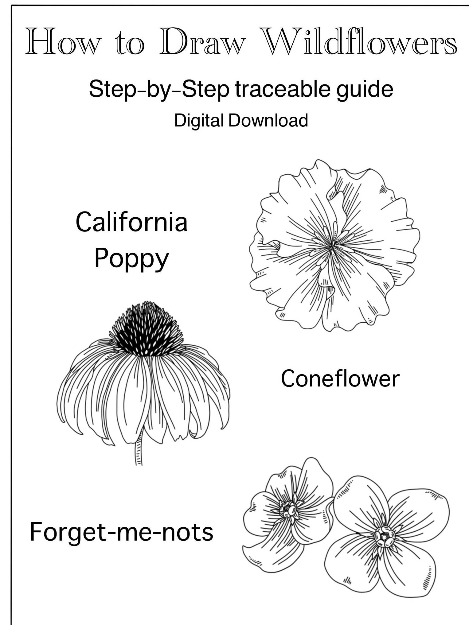 How to Draw Wildflowers PRINTABLE DIGITAL DOWNLOAD Worksheet