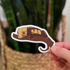 Crested Gecko Vinyl Sticker, Gecko Stickers, Cute Crestie Stickers, Crested Gecko Gift Stickers