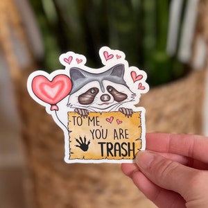 Raccoon Valentines Day Sticker, Valentines Day Vinyl Sticker, Cute Raccoon Stickers, Raccoon Love Vinyl Stickers, To me You’re Trash