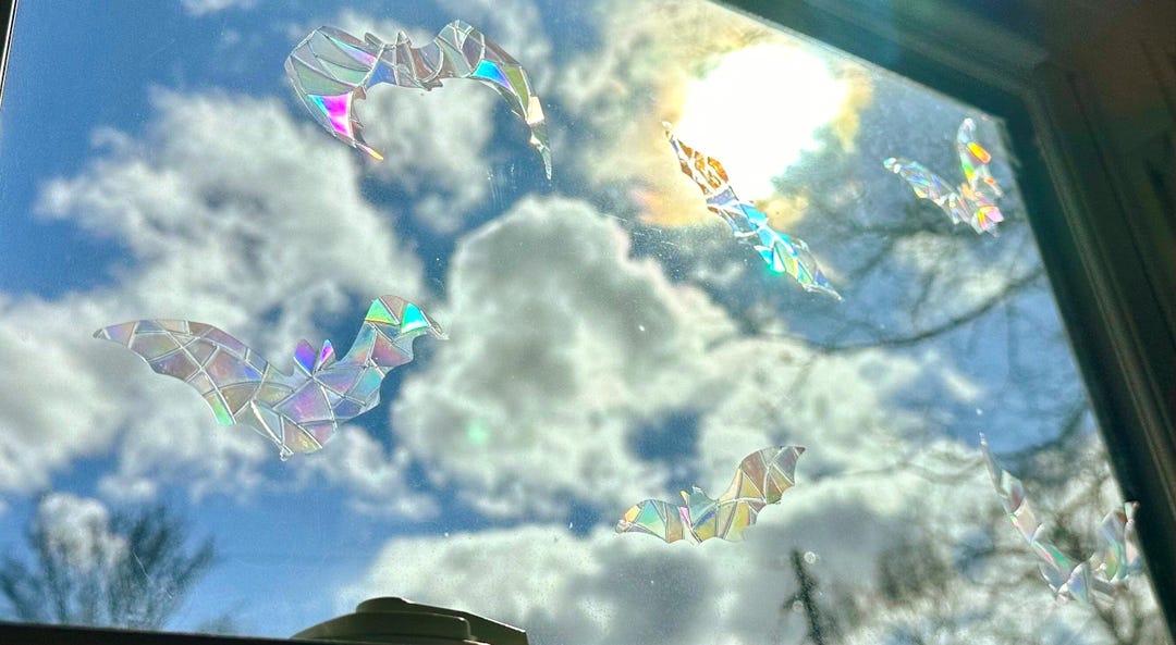Bat Sun Catcher Window Cling, Suncatcher Pack, Animal Window Cling ...