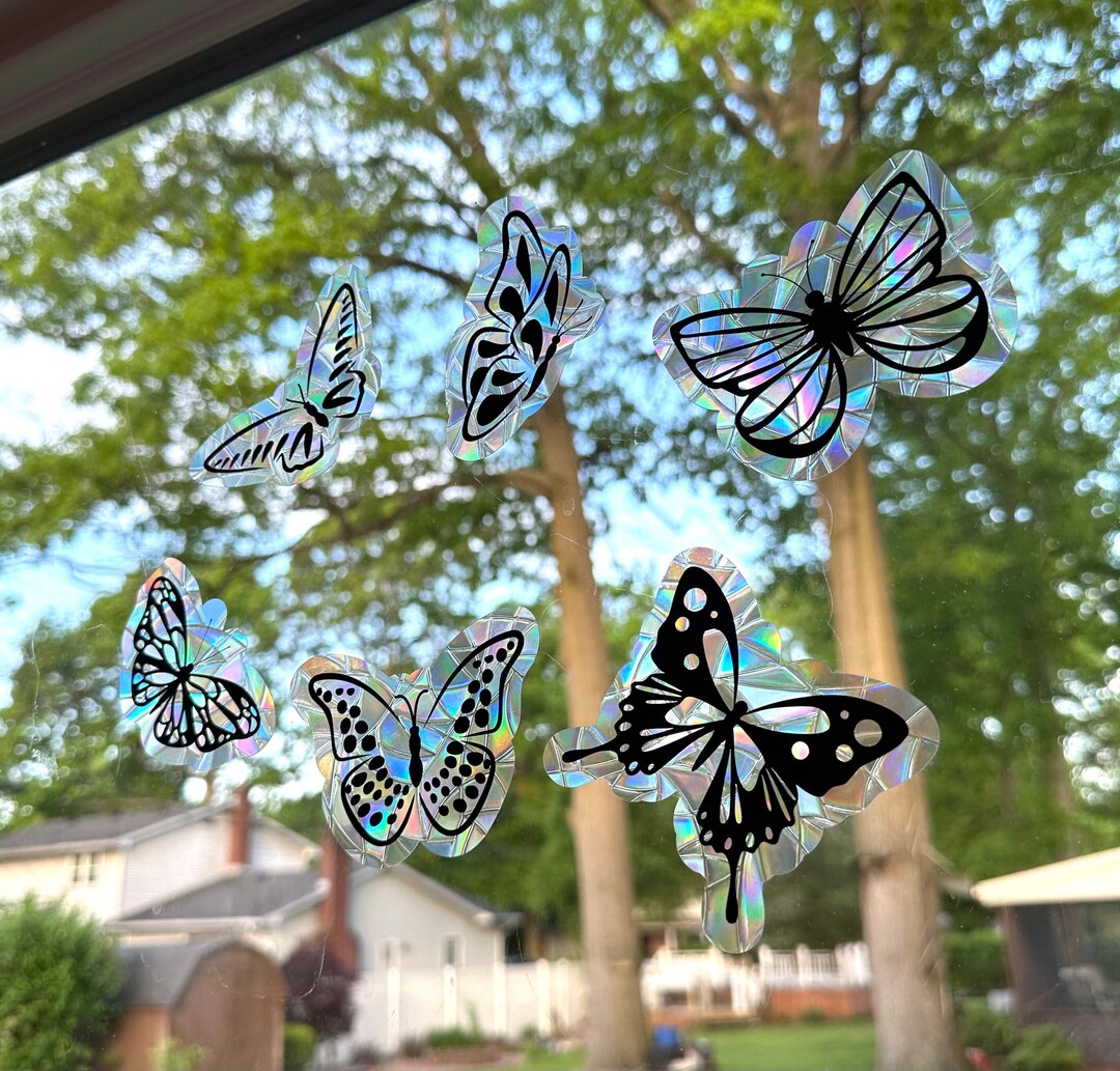 Butterfly Sun Catcher Window Cling, Suncatcher Pack, Bug Window Cling ...