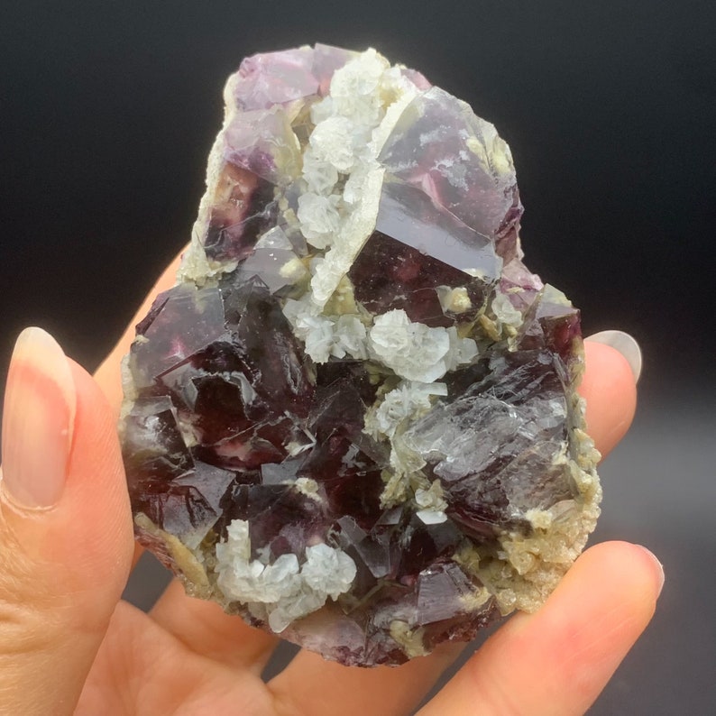 May include: A cluster of purple fluorite crystals with white calcite crystals. The fluorite crystals are sharp and well-defined, with a glassy lustre. The calcite crystals are smaller and more rounded, with a pearly lustre.