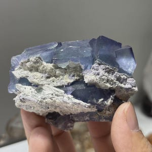 May include: A raw mineral specimen featuring translucent, deep purple cubic fluorite crystals embedded within a rough, light grey, and textured rocky matrix. The crystalline structure displays sharp geometric edges and varying levels of transparency.