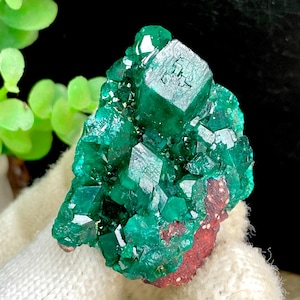Green Dioptase from Mindouli, Republic of Congo, Gemmy Dioptase Crystal Specimen, Mineral Specimen Collection, 27g