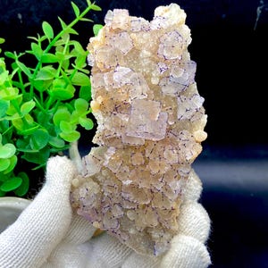 Puede incluir: Un cúmulo de cristales de fluorita púrpura con una matriz marrón claro. Los cristales son de forma cúbica y tienen una apariencia translúcida.