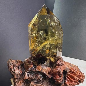 Könnte beinhalten: Eine große, durchscheinende, goldgelbe Citrin-Kristallspitze mit sichtbaren inneren Rissen und Einschlüssen, die auf einem dunklen, strukturierten, rotbraunen Stück natürlichem Treibholz mit rauer, organischer Oberfläche befestigt ist.