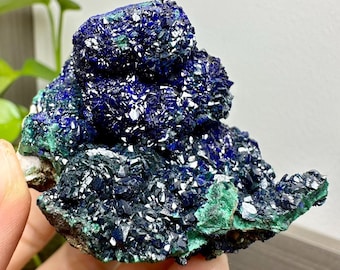 ブルーアズライトマラカイト標本、34 mm箱 中国安徽省産の鮮やかな