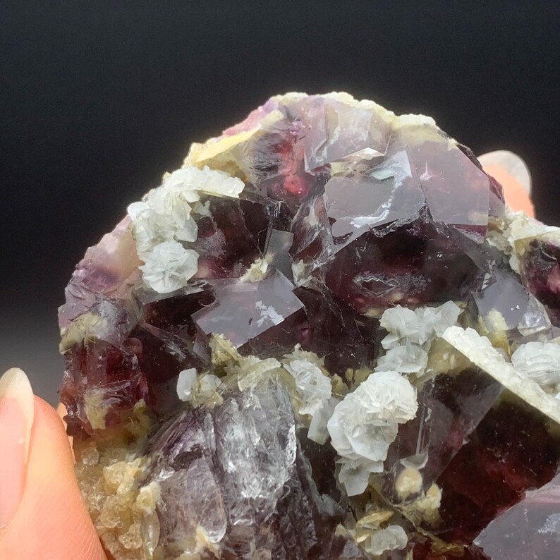 May include: A cluster of purple fluorite crystals with a glassy sheen. The crystals are intergrown with smaller, white calcite crystals.