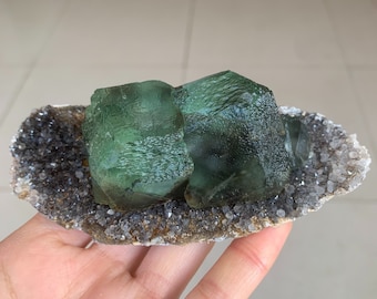 Könnte beinhalten: Ein Cluster aus grünen Fluoritkristallen auf einem Bett aus grauen Quarzkristallen. Die Fluoritkristalle sind durchscheinend und haben einen glasartigen Glanz.
