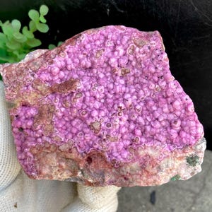 Sparkling Cobalto Calcite with Chrysocolla Specimen from Congo, Bright Pink Cobalto Calcite, Crystalline Pink Cobalt, 709g