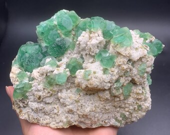 Könnte beinhalten: Ein großer Cluster aus grünen Fluoritkristallen, eingebettet in eine weiße Matrix. Die Kristalle sind scharf und gut definiert, mit einem glasartigen Glanz. Die Matrix ist rau und strukturiert.