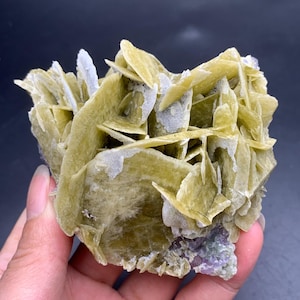 Può includere: Un campione di minerale naturale con un gruppo di cristalli a strati verde pallido dall'aspetto delicato, simile a petali. I cristalli sono accentuati da macchie bianche e una base di tonalità viola e verdi.