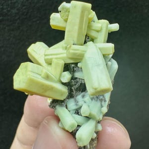 May include: A cluster of pale yellow, hexagonal prismatic crystals growing from a dark, textured mineral matrix. The mineral specimen features multiple elongated, opaque crystal formations with flat terminations, showcasing a distinct geometric structure.