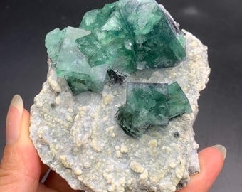 Könnte beinhalten: Grüne Fluoritkristalle auf einer Matrix aus weißem und grauem Gestein. Die Fluoritkristalle sind scharf und gut ausgebildet, mit einem glasartigen Glanz.