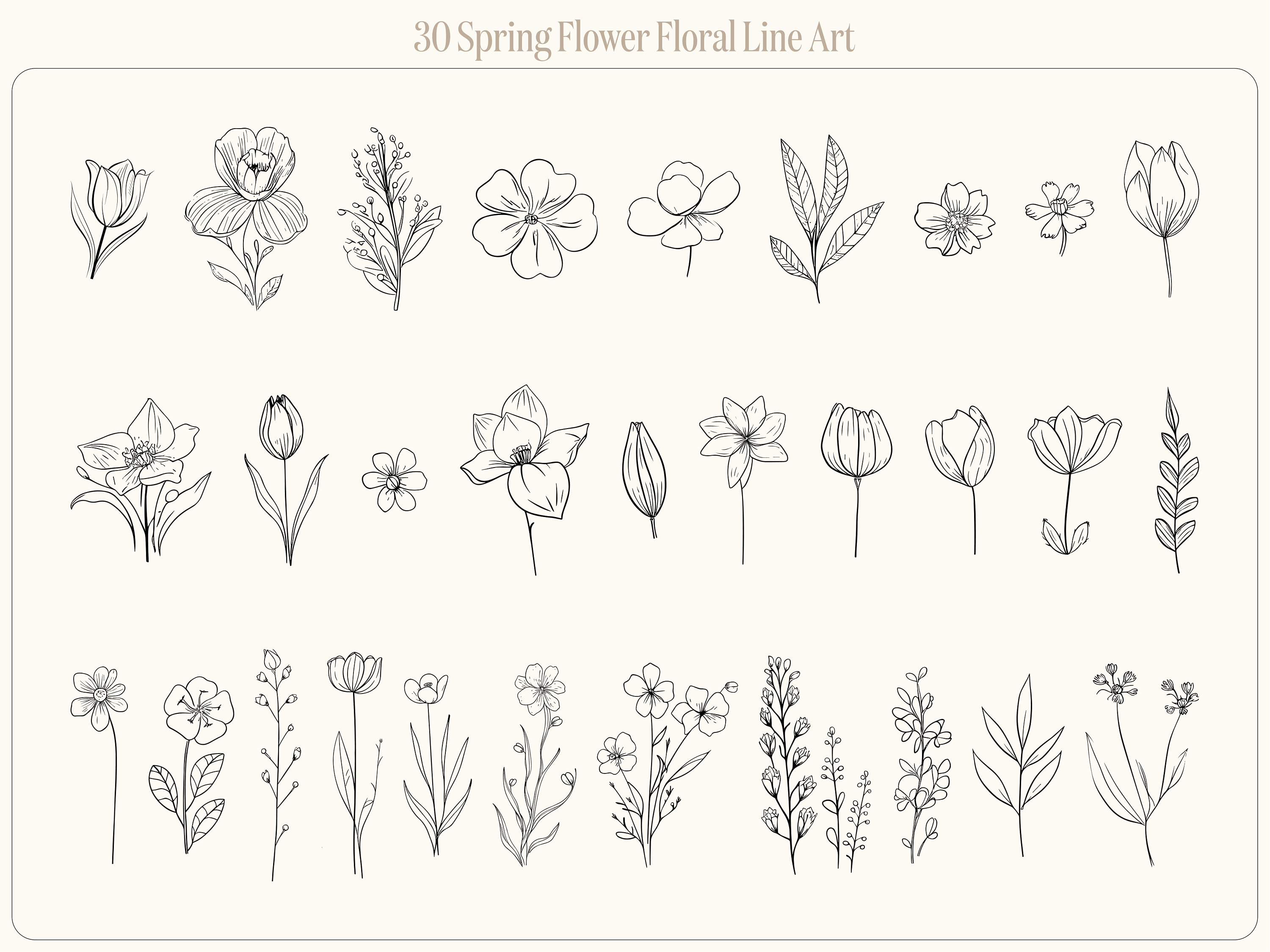 Spring Flowers Floral Line Art, Flower Line Art, SVG, PNG, Wedding