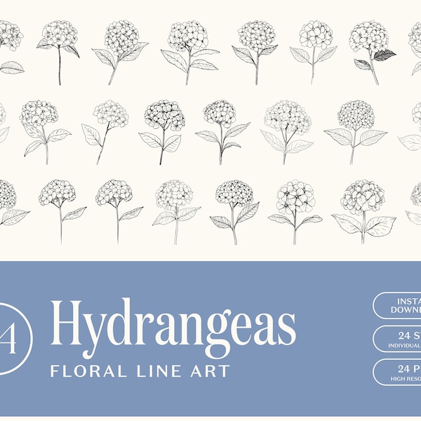 Hydrangea Floral Line Art, Flower Line Art, SVG, PNG, Wedding Flowers, Hand Drawn Style, Clip Art, Instant Download