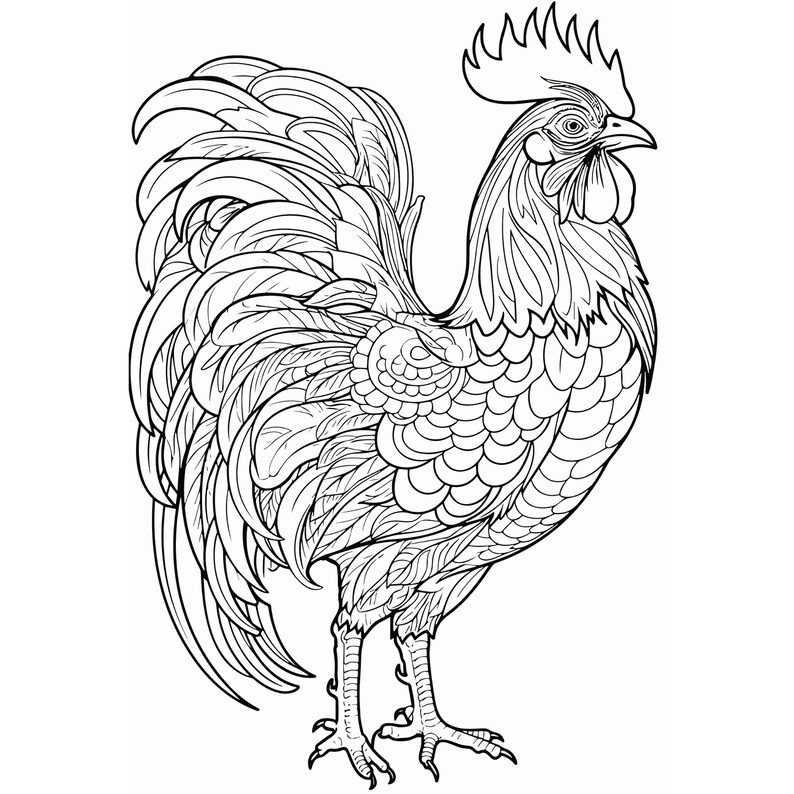 50 Animals Large Print Adult Coloring - Il 794xN.5541340571 H9f0 