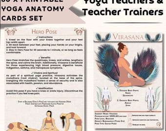 Yoga Anatomy Cards • 60 Pose Flashcards for Teachers (Digital Download)