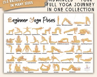 Guida alle posizioni yoga / Principiante, Intermedio, Avanzato (download digitale)